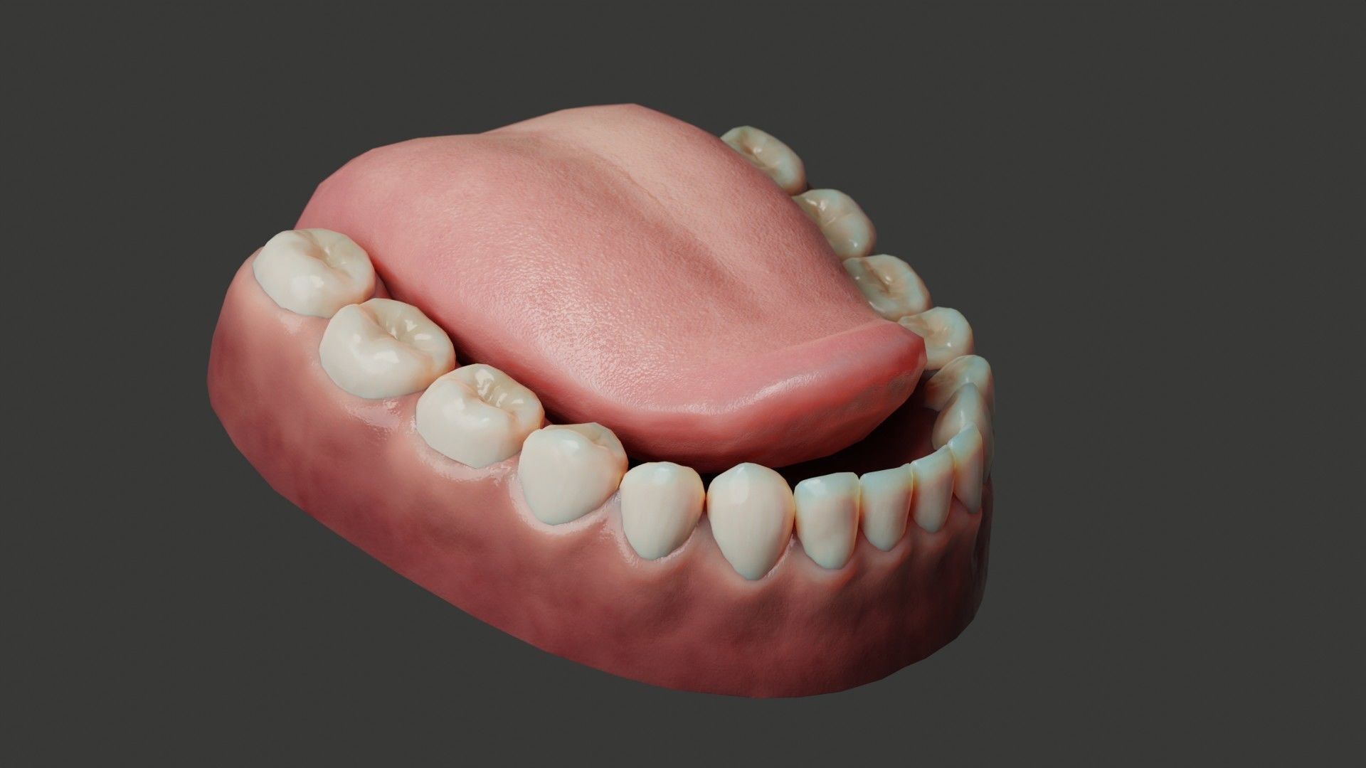 Human Teeth Rigged Low-poly 3D model_8