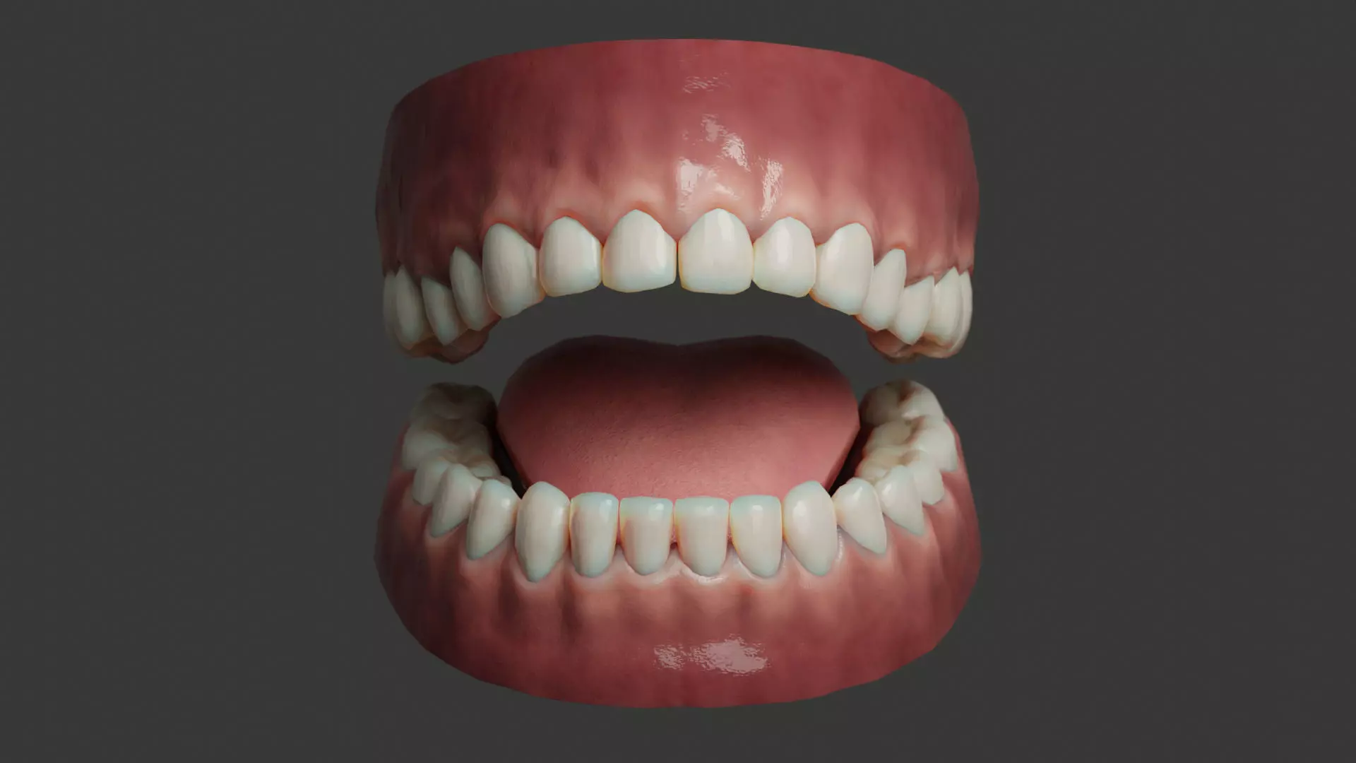 Human Teeth Rigged Low-poly 3D model_0