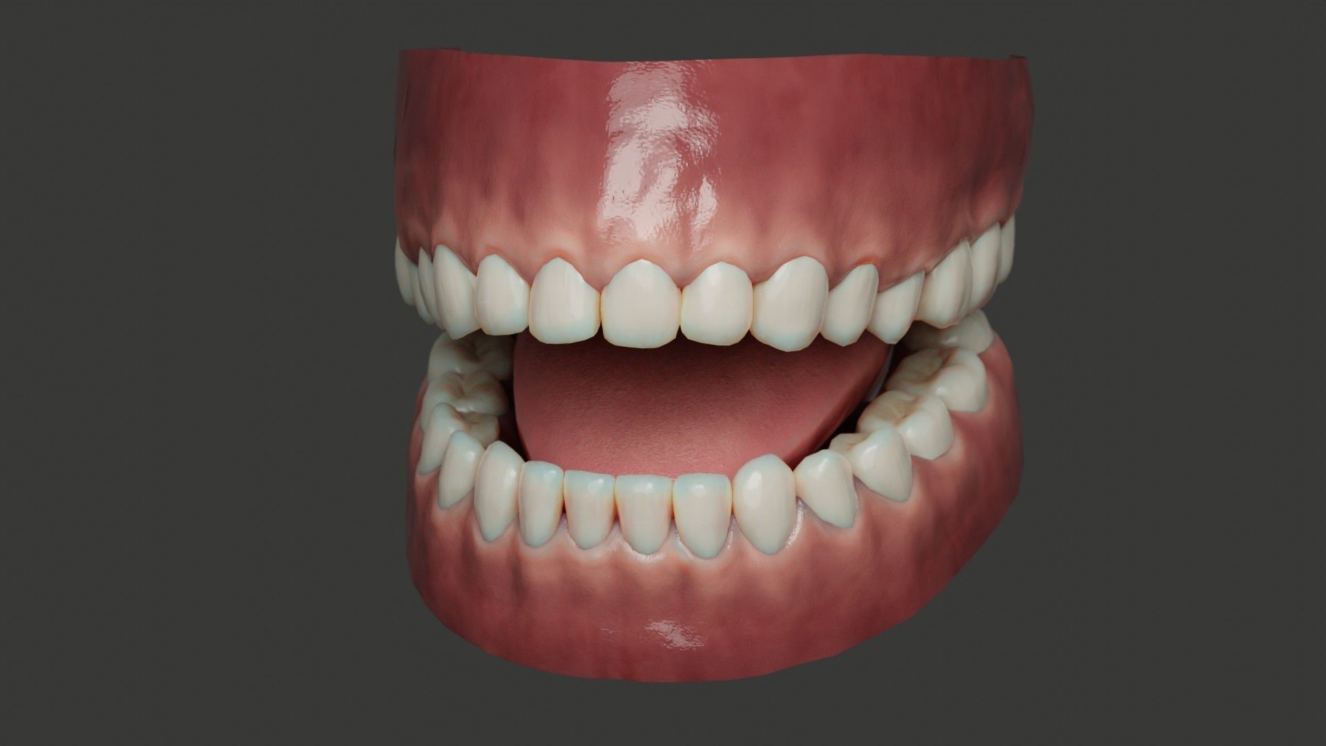 Human Teeth Rigged Low-poly 3D model_3