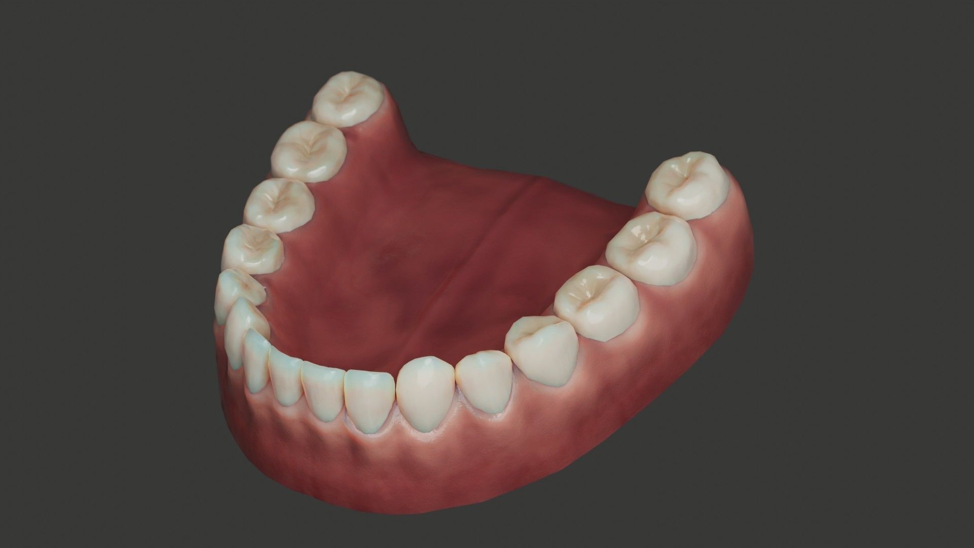 Human Teeth Rigged Low-poly 3D model_7