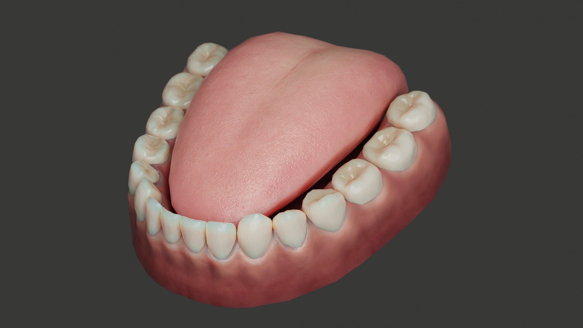 Human Teeth Rigged Low-poly 3D model_6