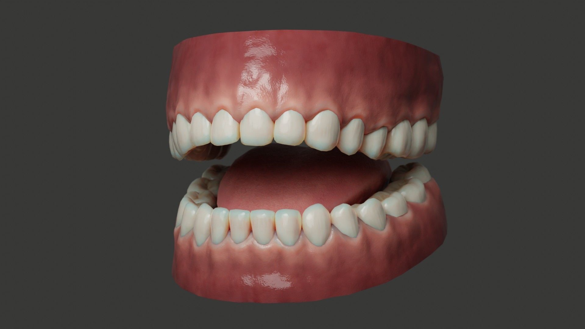 Human Teeth Rigged Low-poly 3D model_9