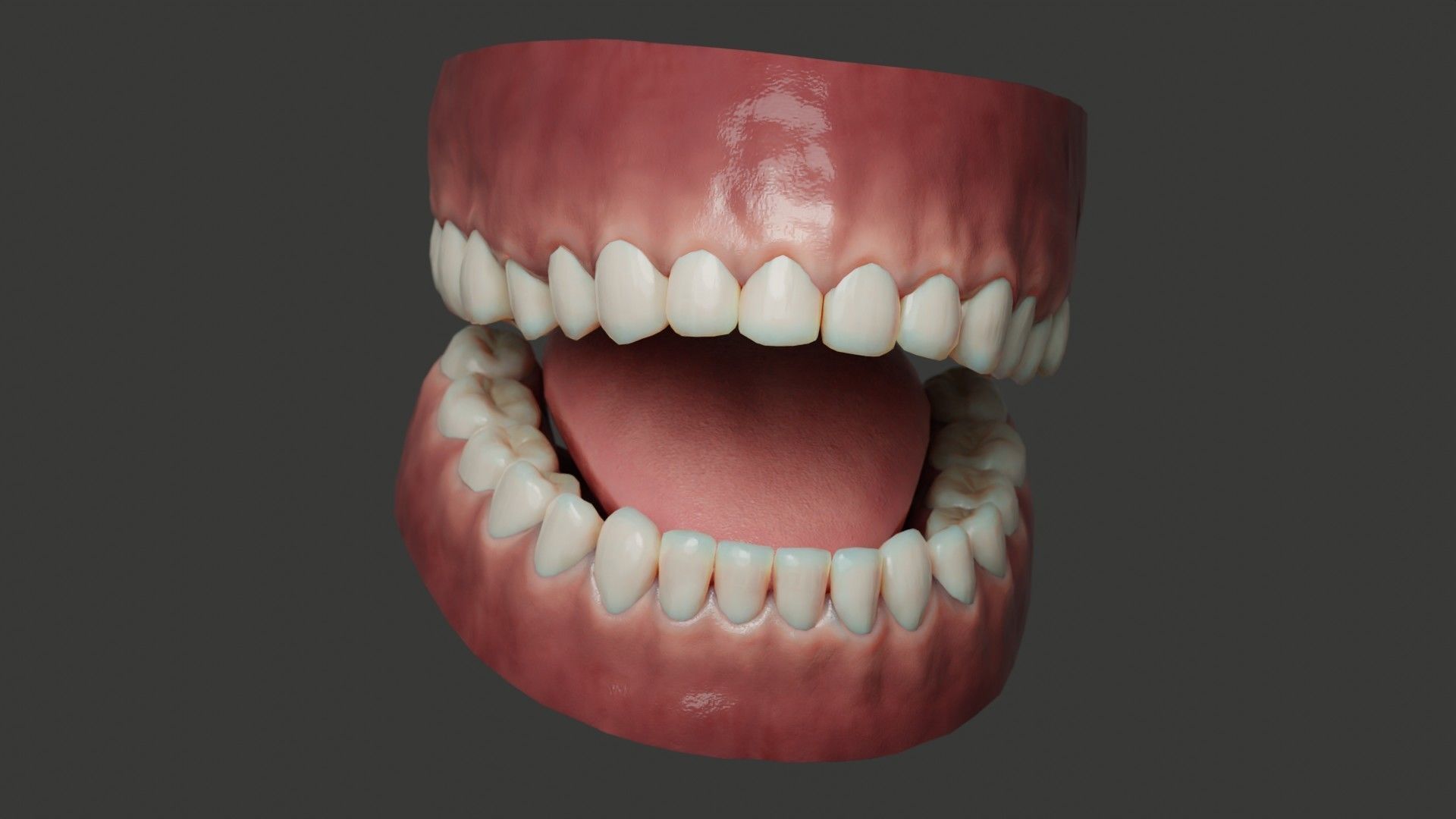 Human Teeth Rigged Low-poly 3D model_1