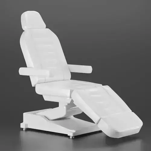 Beauty Parlor Chair 3D model