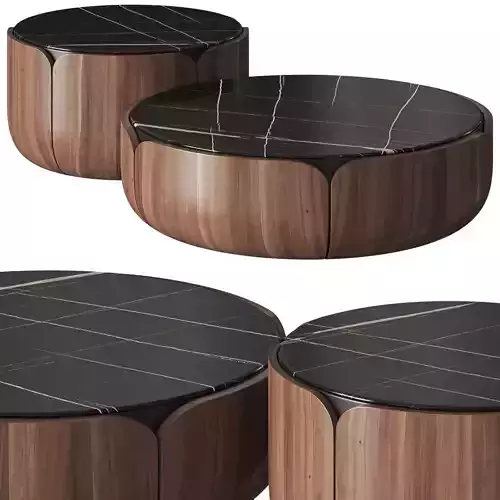 Milla and Milli Bloom Coffee Tables 3D model
