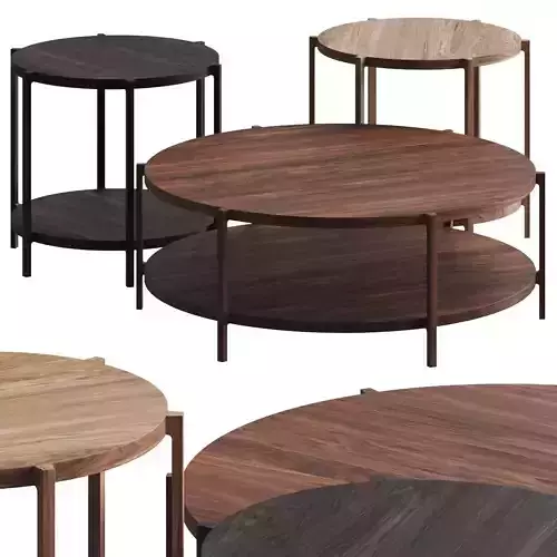 Busnelli Farnsworth Coffee and Side Tables 3D model