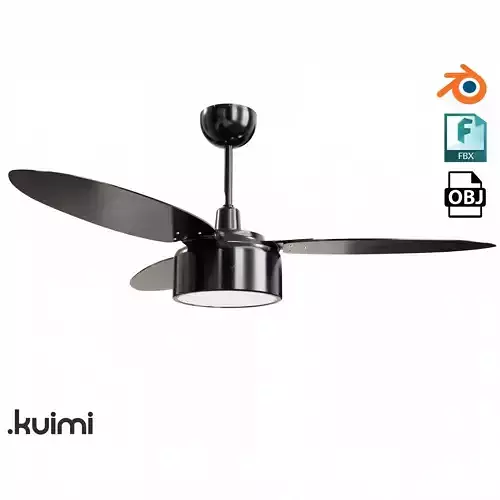 Ceiling Fan 011
