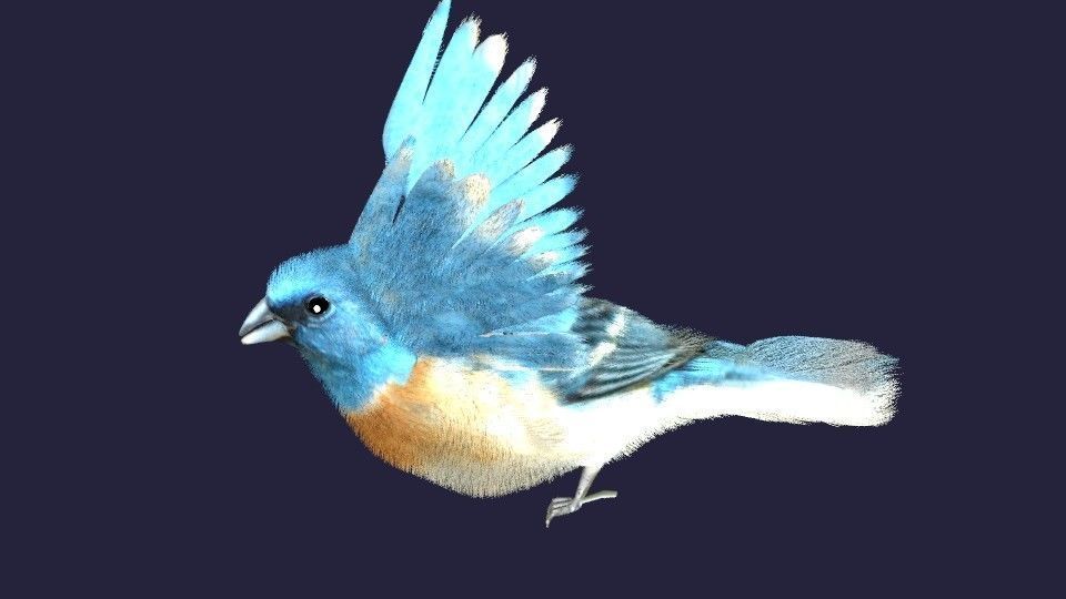 Utah Bird Low-poly 3D model_5