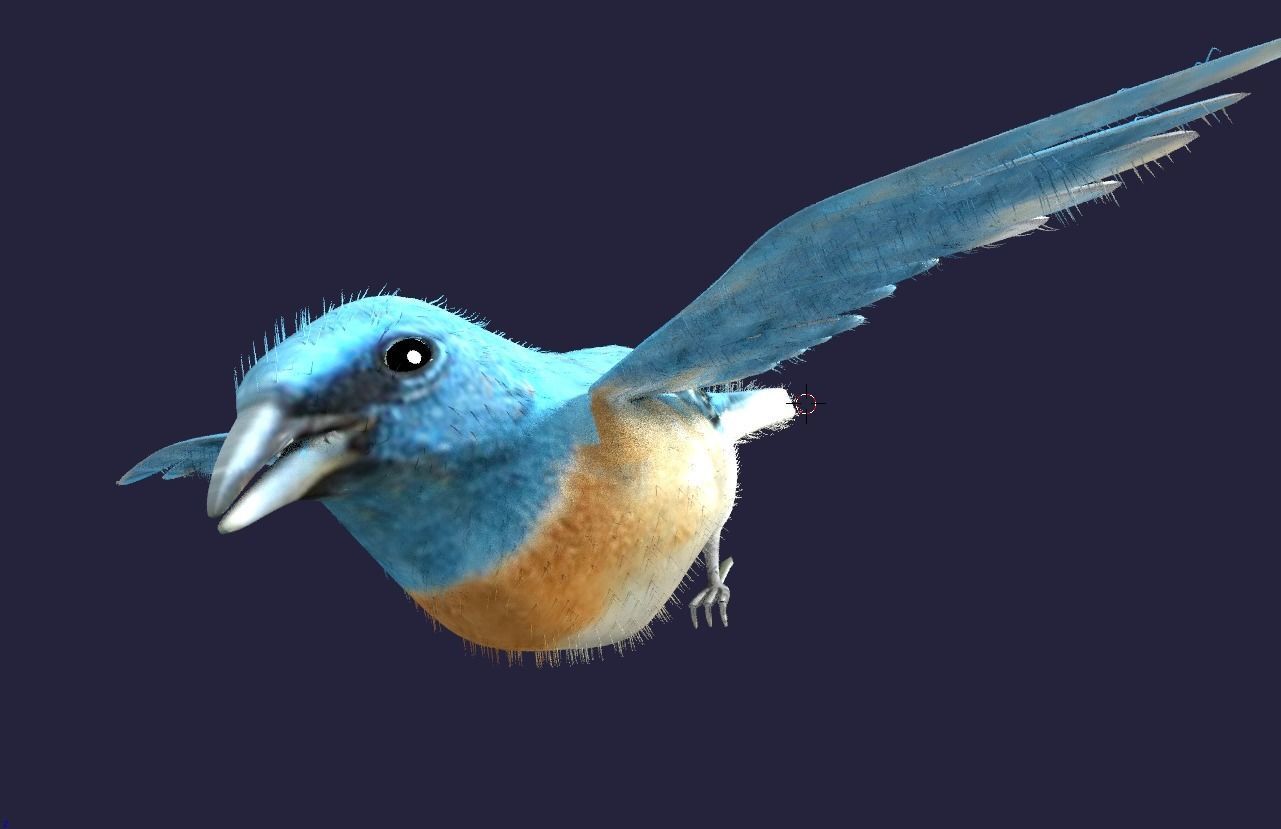 Utah Bird Low-poly 3D model_8