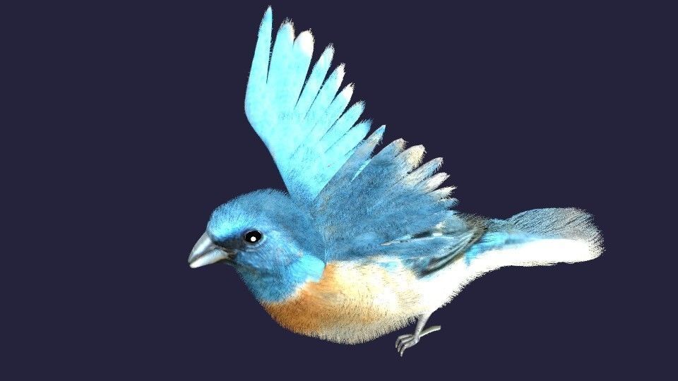 Utah Bird Low-poly 3D model_3