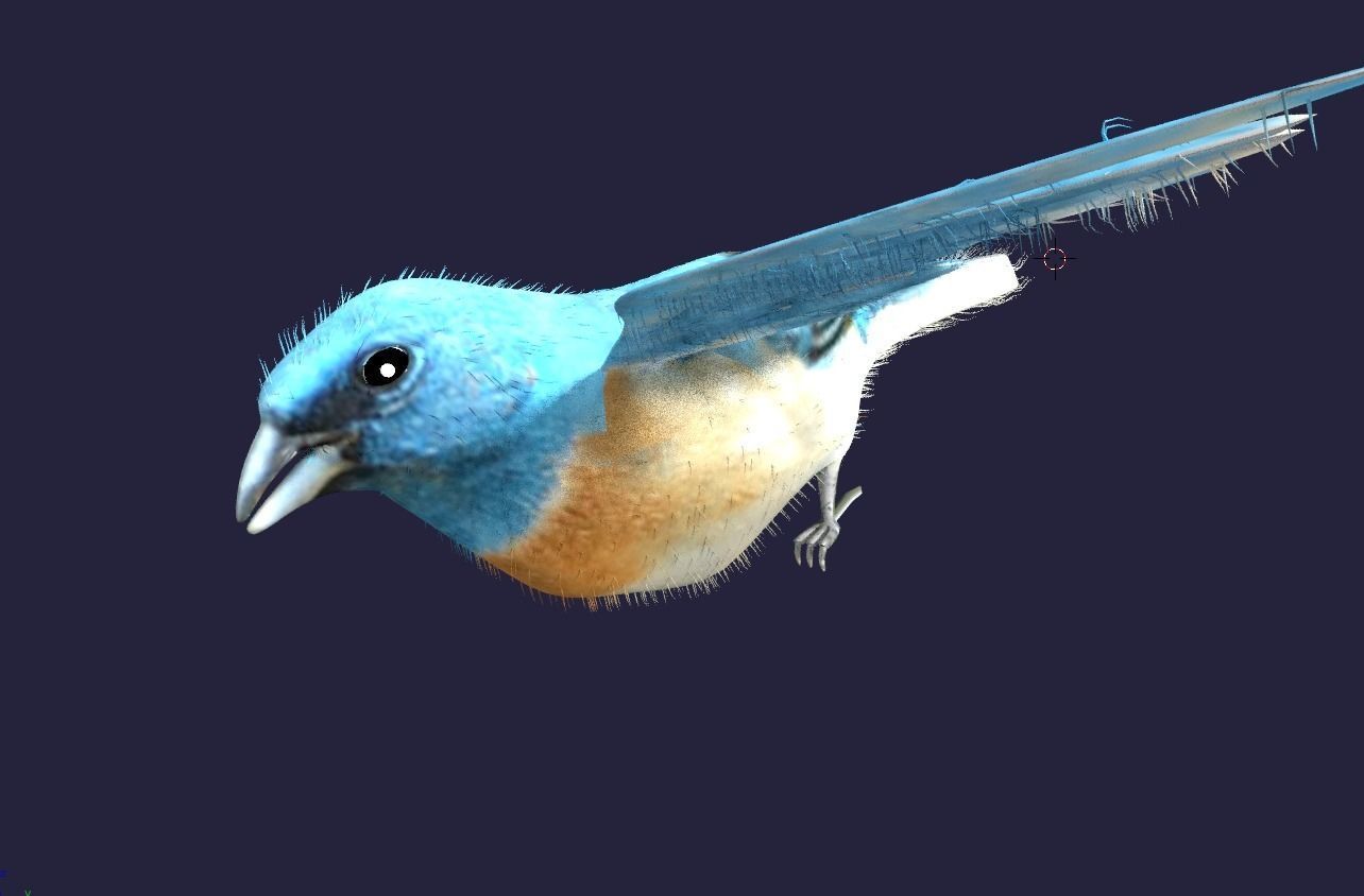 Utah Bird Low-poly 3D model_4