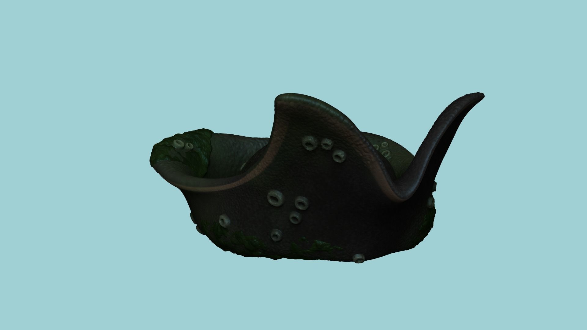 Davy Jones Hat - Pirate Costume Low-poly 3D model_1