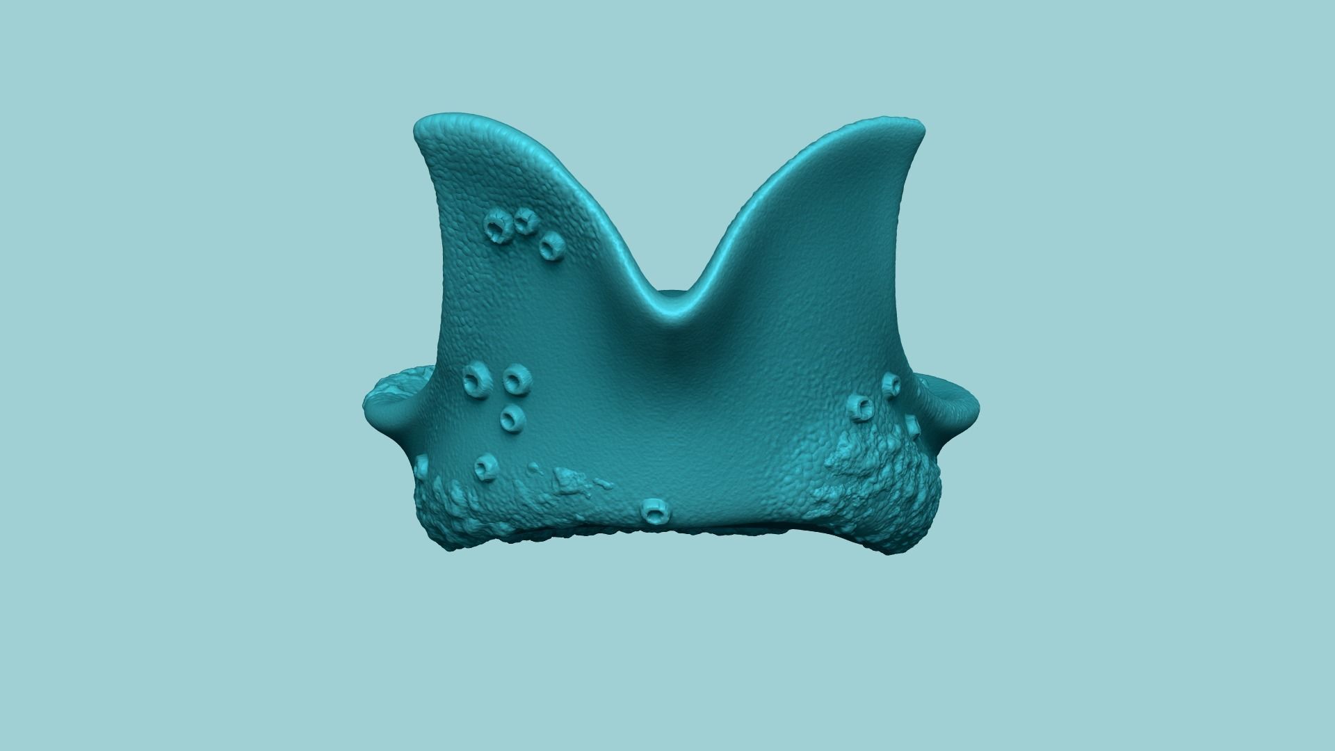Davy Jones Hat - Pirate Costume Low-poly 3D model_10
