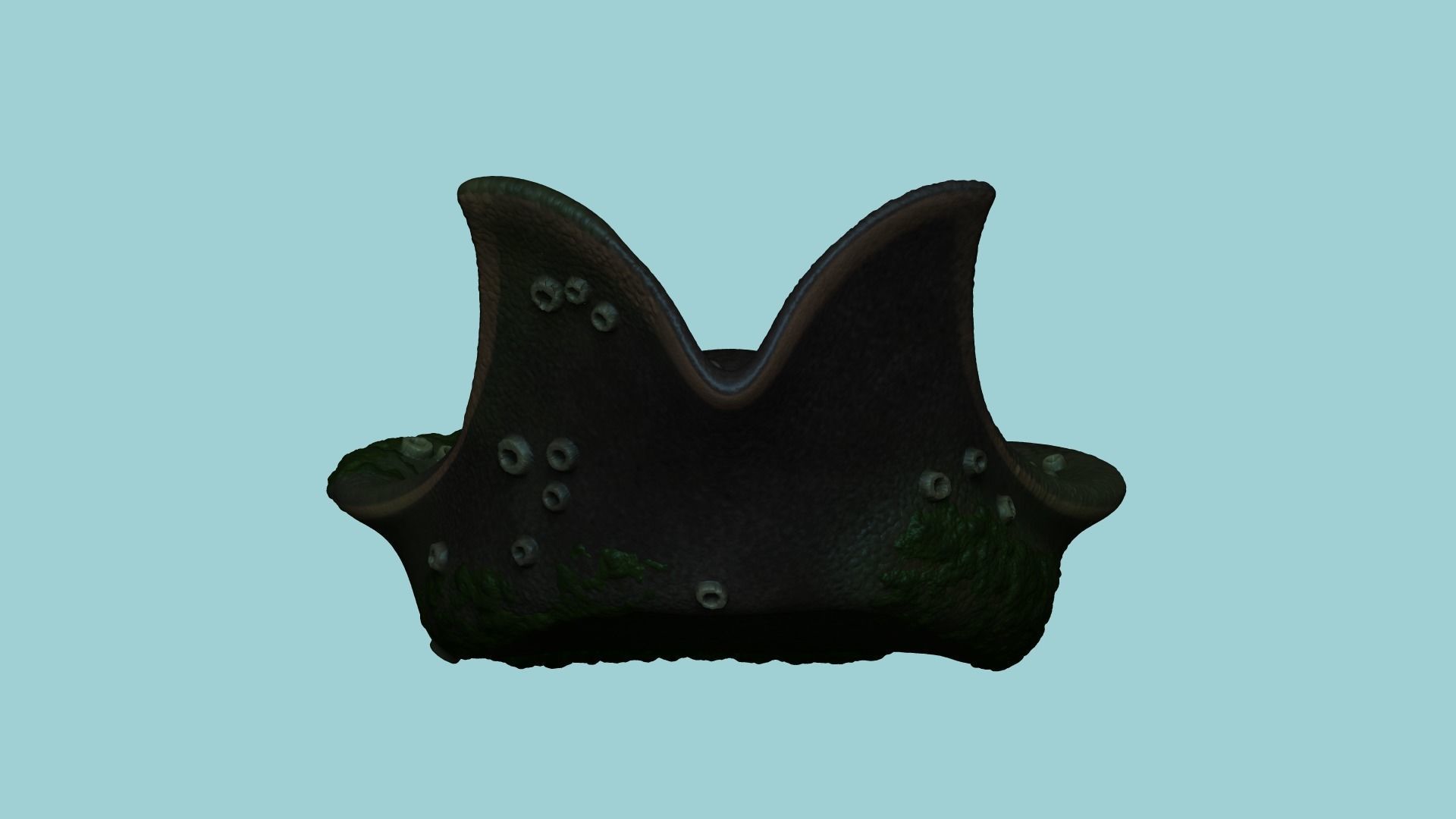 Davy Jones Hat - Pirate Costume Low-poly 3D model_9