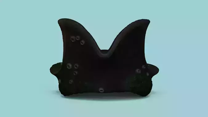 Davy Jones Hat - Pirate Costume Low-poly 3D model