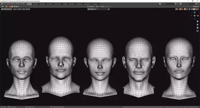 Anatomy Reference Low-poly 3D model