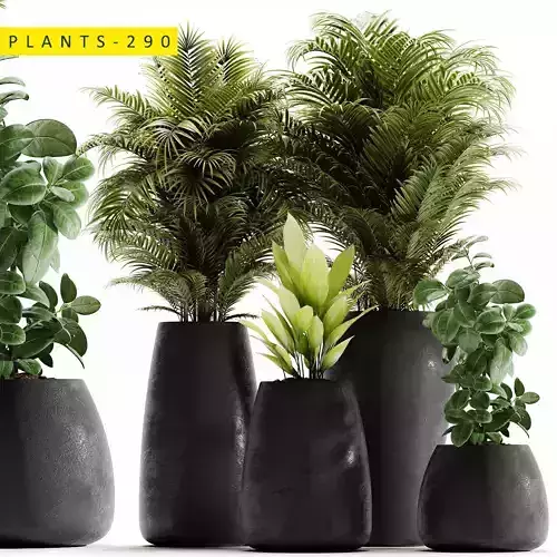plants 290