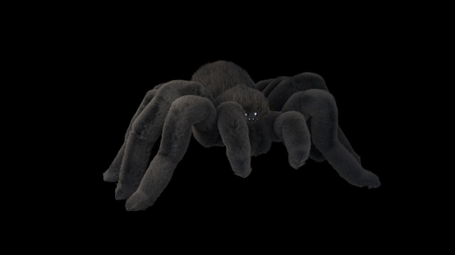 Tarantula Spider 3D model_3