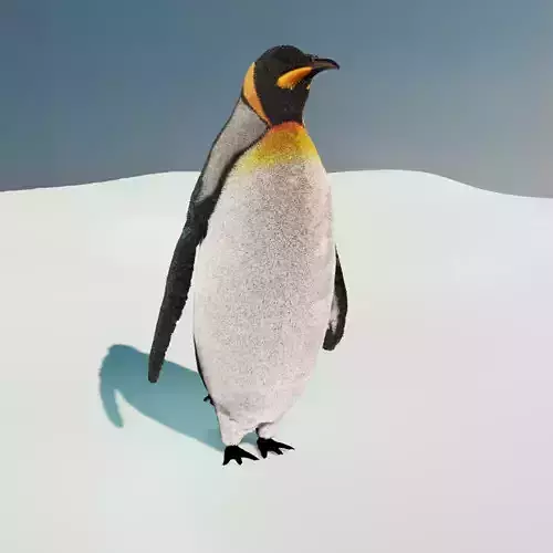 Emperor Penguin 3D model