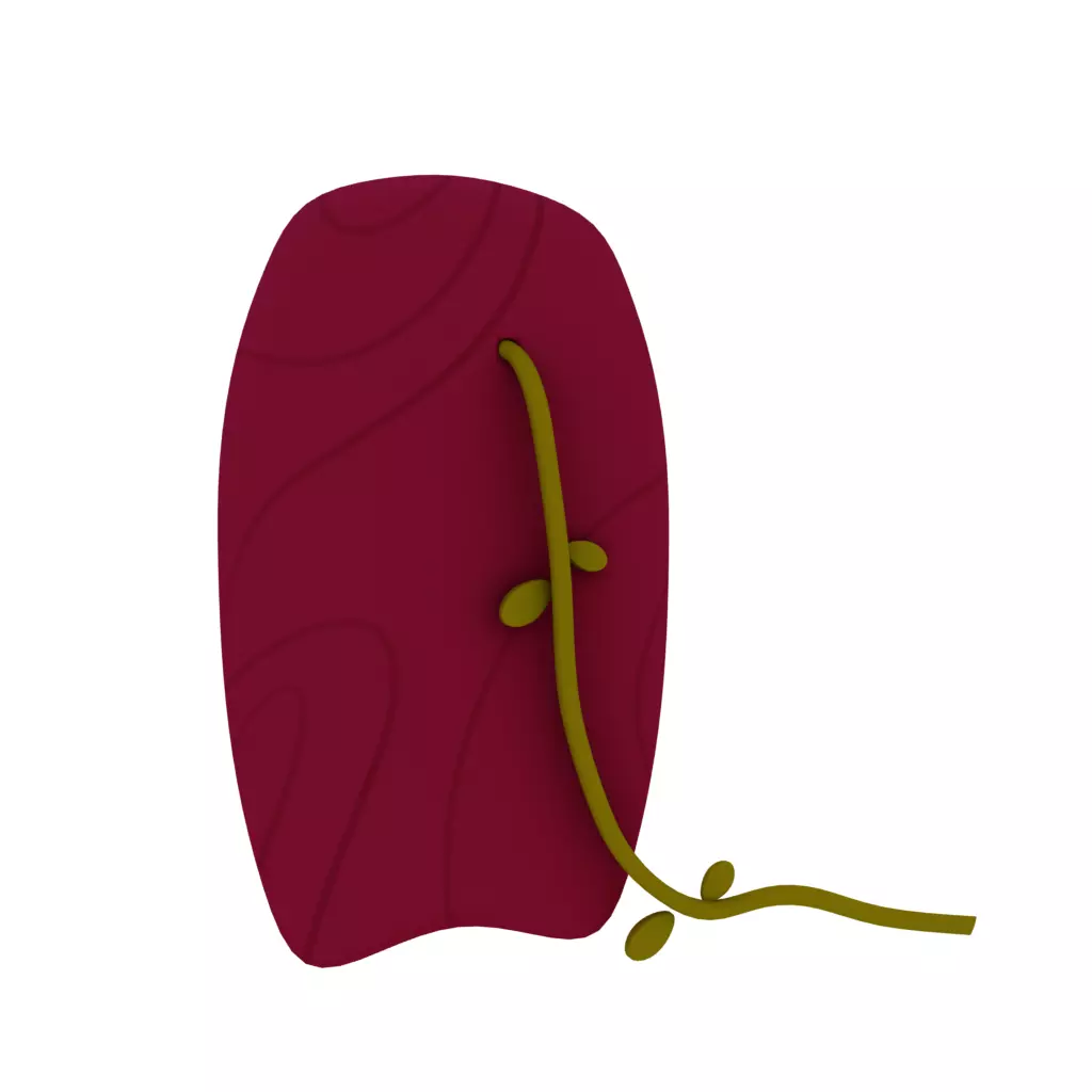 Surfboard piece of cloth with leaf 3D model