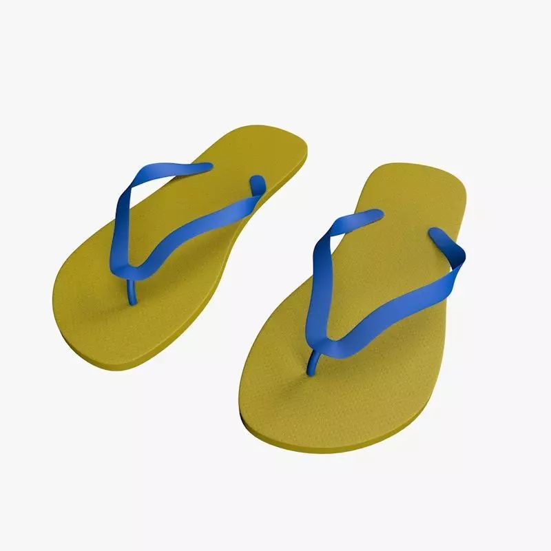 Flip flop 3D model_0