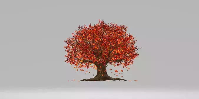 lkjhgfd tree in autumn