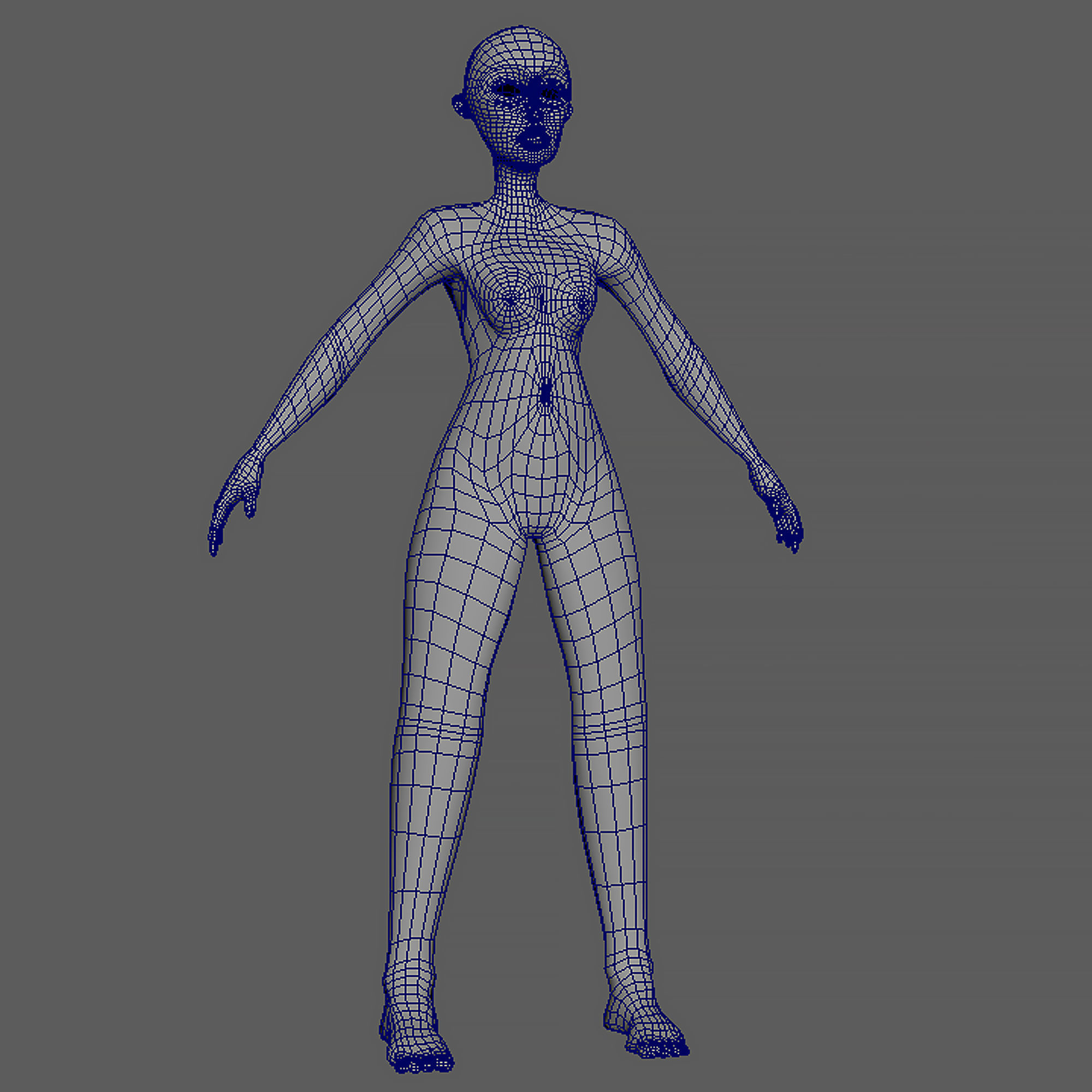 Blank Adult Female - Character Model 3D model_5