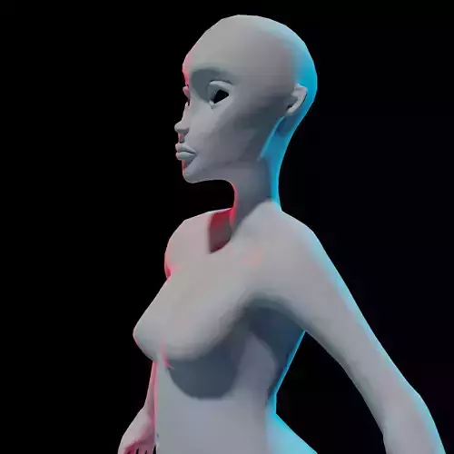 Blank Adult Female - Character Model 3D model Blank Adult Female - Character Model 3D model