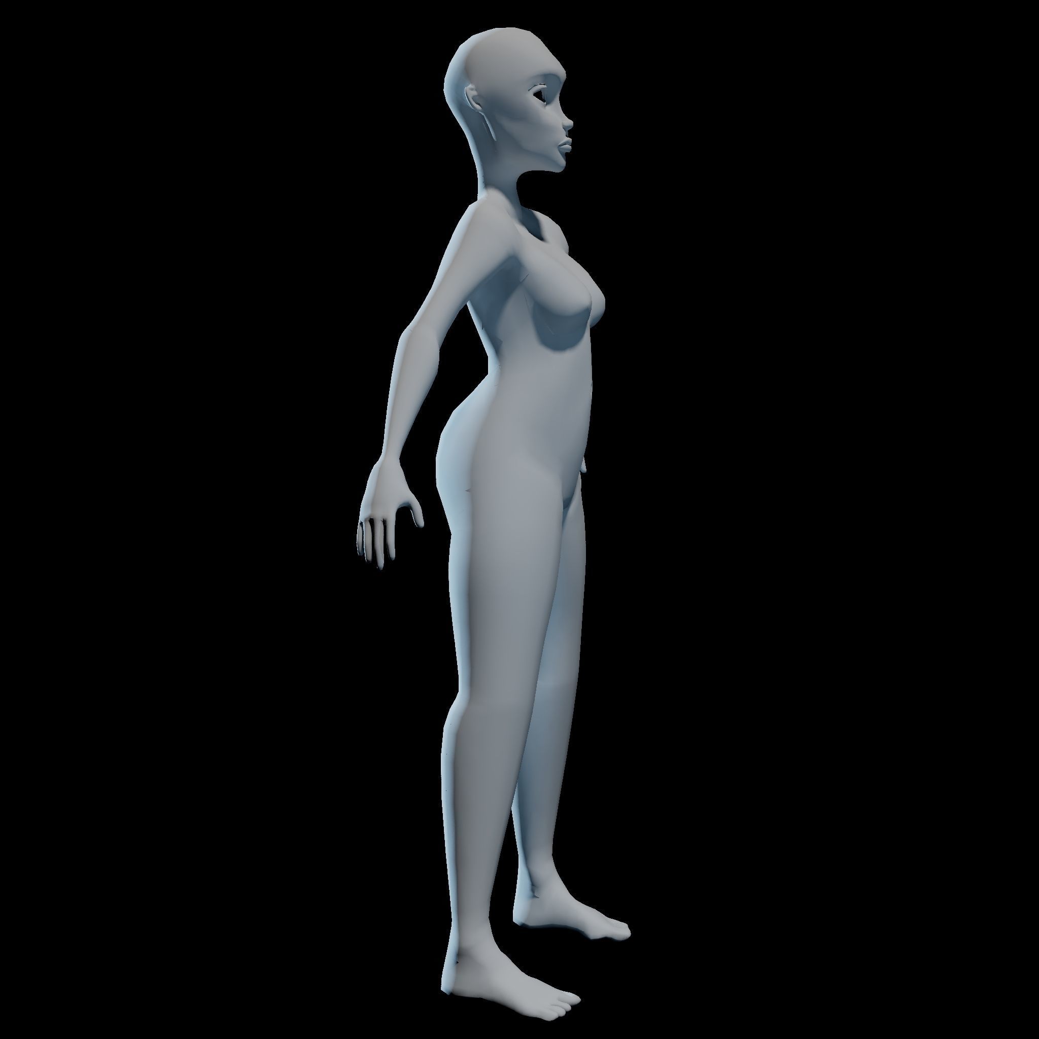 Blank Adult Female - Character Model 3D model_2