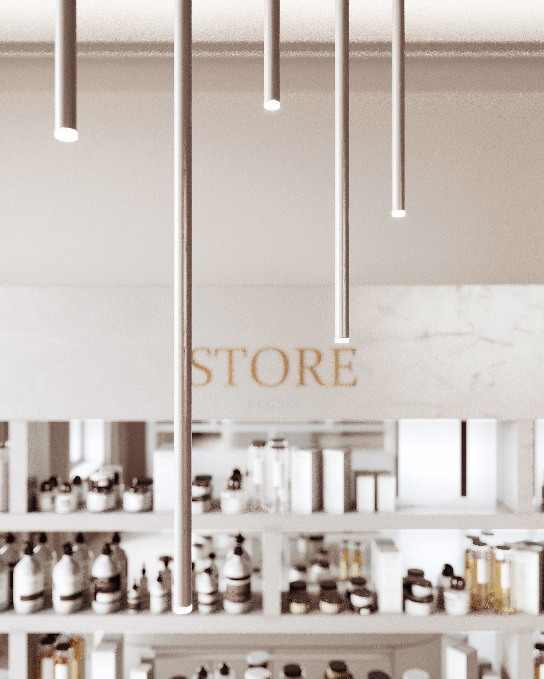 Store 02 3D model_4