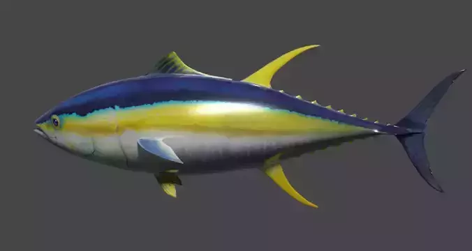 Yellowfin Tuna Rigged Hi and Low Poly Versions Low-poly 3D model
