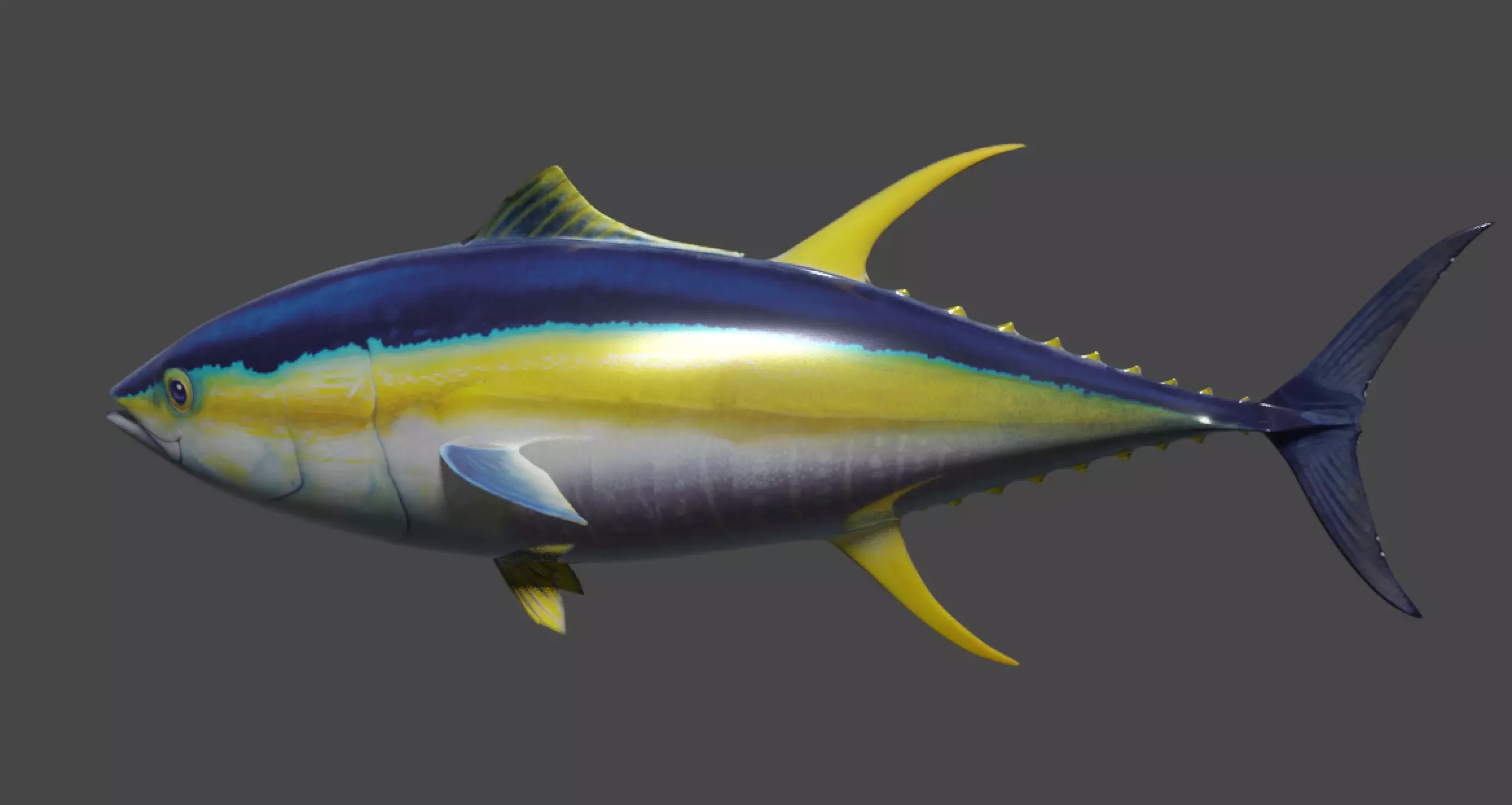 Yellowfin Tuna Rigged Hi and Low Poly Versions Low-poly 3D model_0
