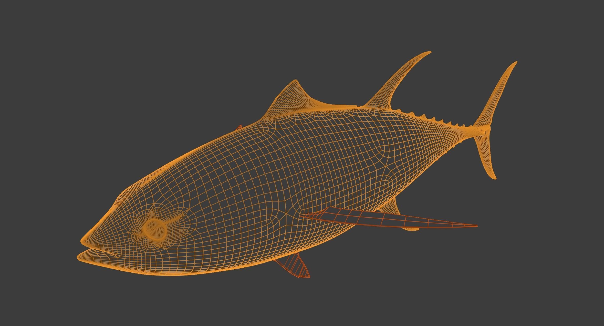 Yellowfin Tuna Rigged Hi and Low Poly Versions Low-poly 3D model_6