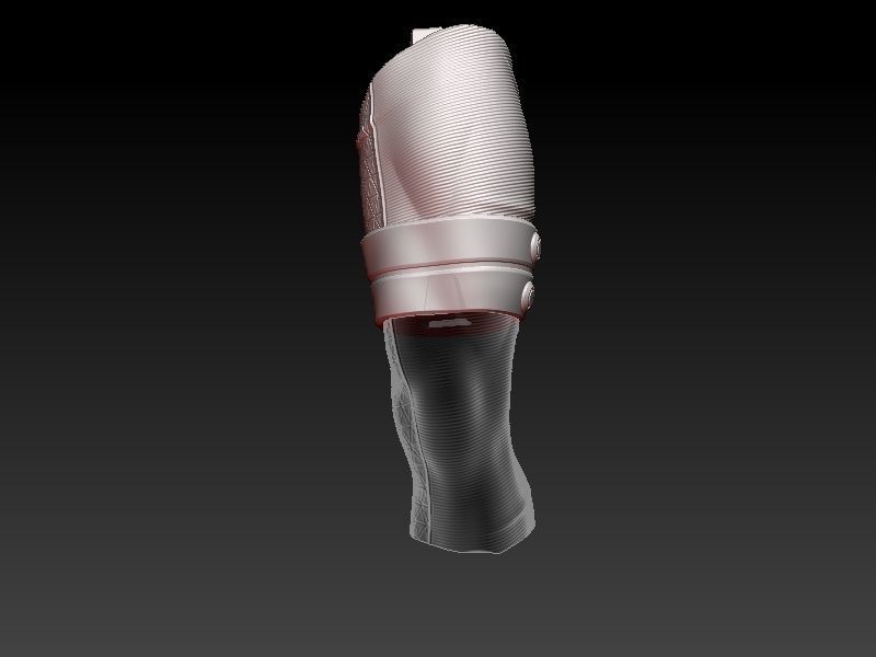 Phoenix Death 3D print model_16