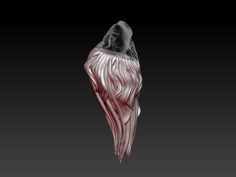 Phoenix Death 3D print model_29