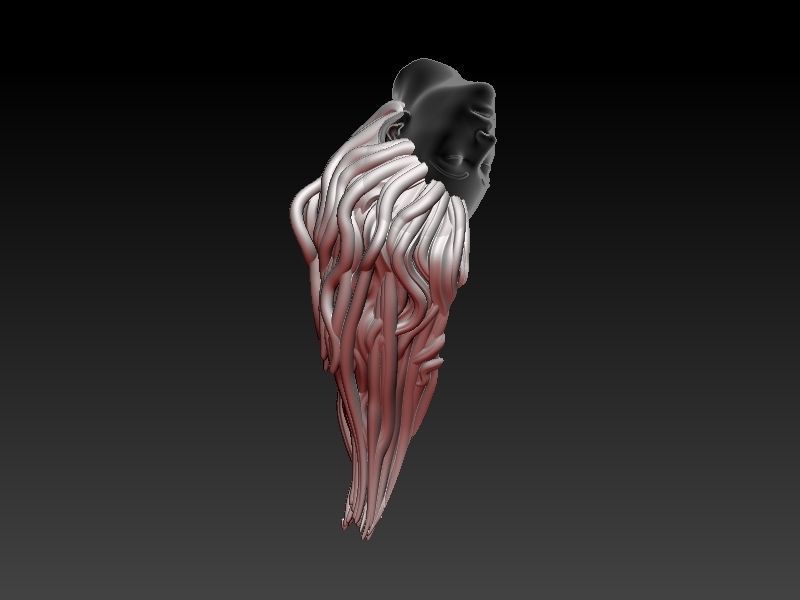 Phoenix Death 3D print model_28