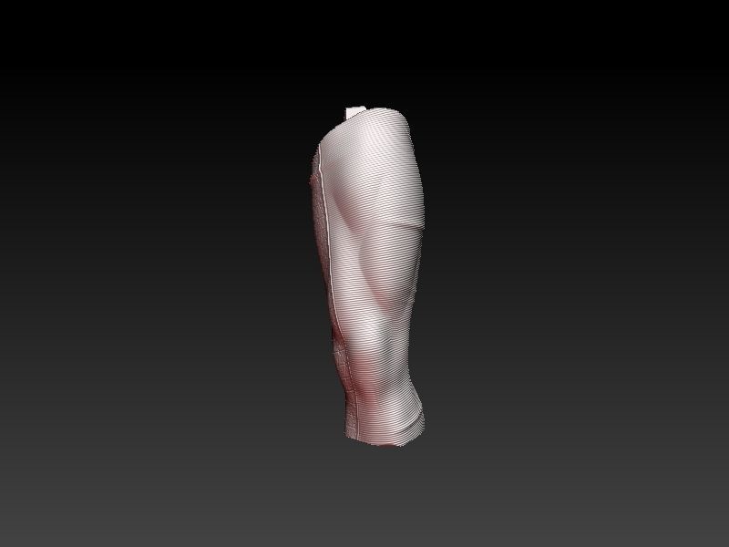 Phoenix Death 3D print model_11