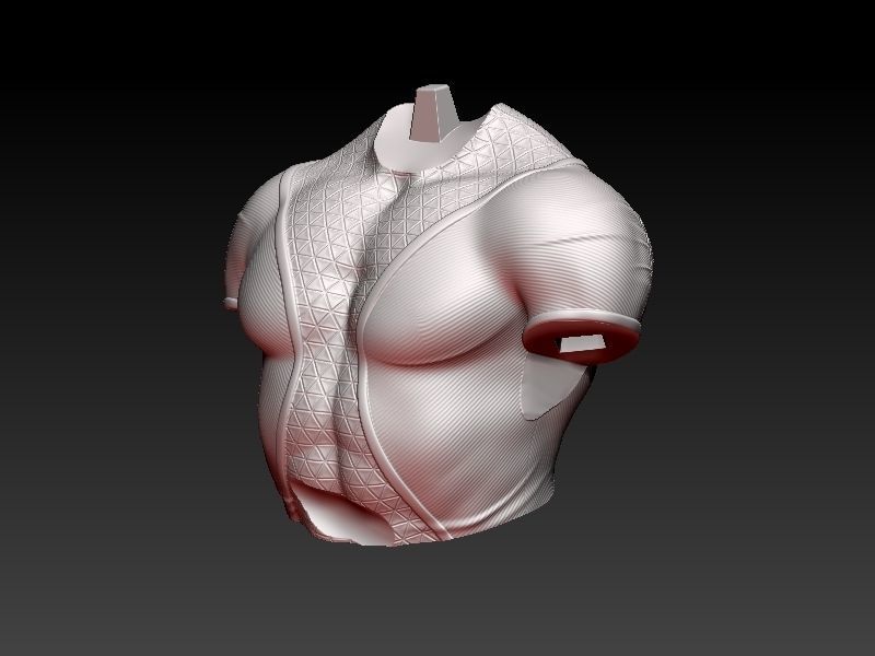 Phoenix Death 3D print model_25