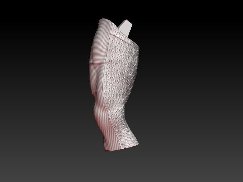 Phoenix Death 3D print model_12