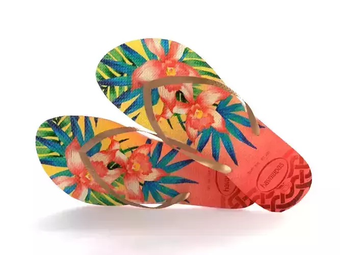 Slipper 1 havaianas flip flops