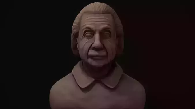 Einstein Bust