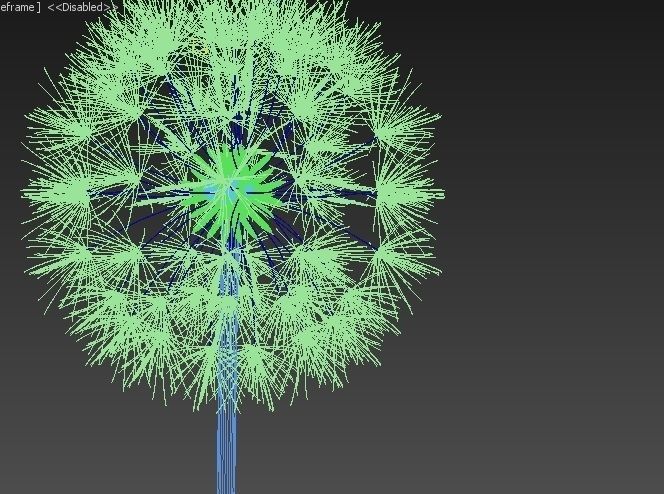 Dandelion ANIMATED 3D model_3