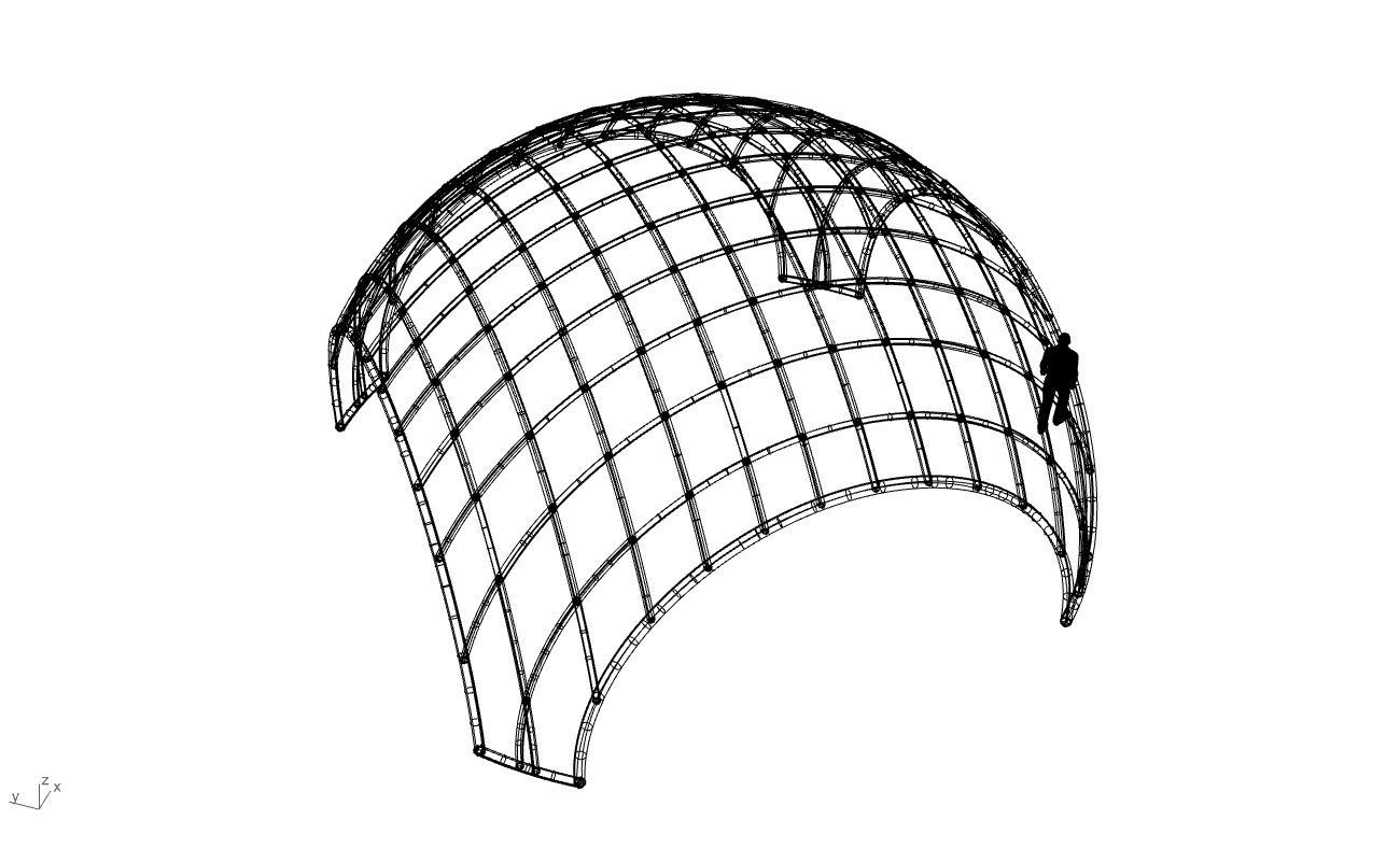 Architectural Pavilion Structure Wireframe Dome With Entry V2 3D model_75