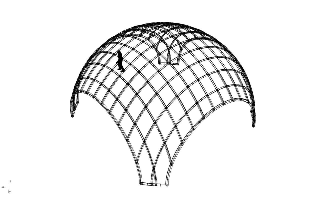 Architectural Pavilion Structure Wireframe Dome With Entry V2 3D model_69