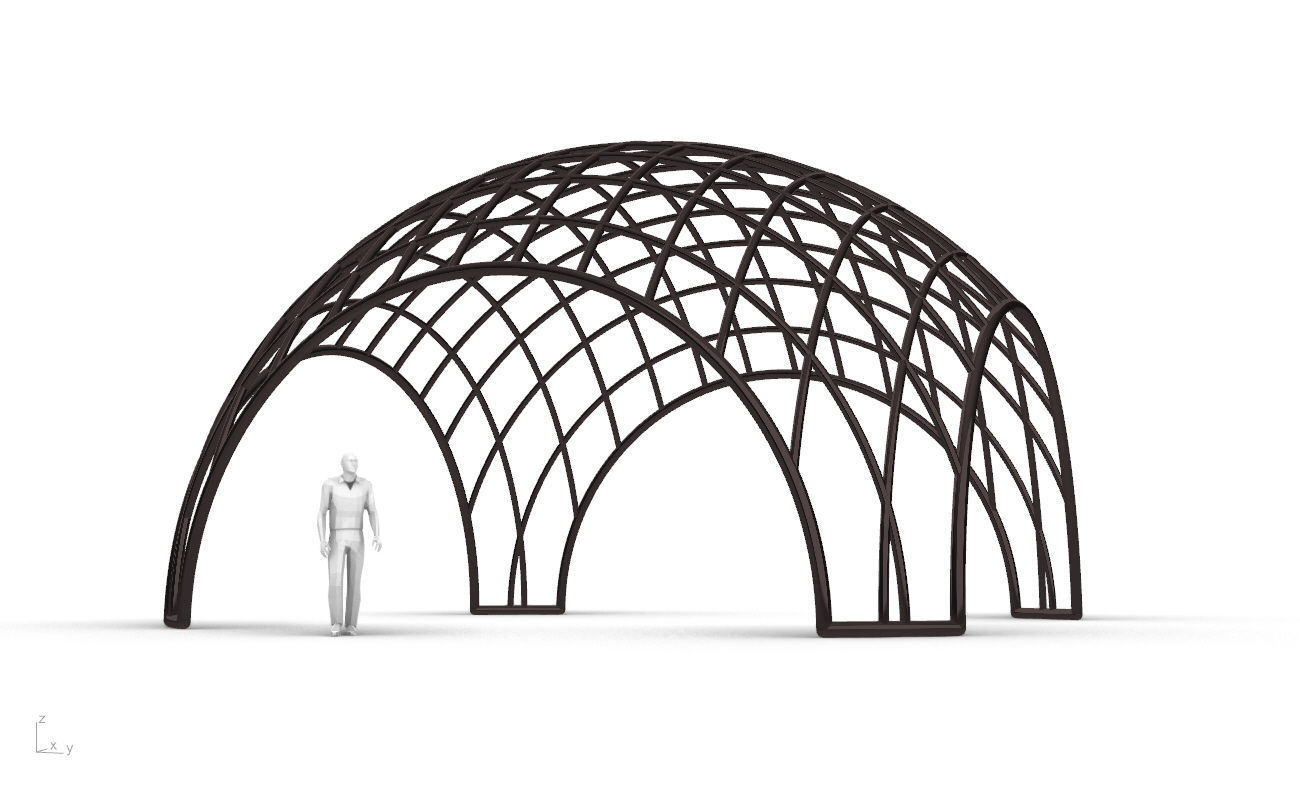 Architectural Pavilion Structure Wireframe Dome With Entry V2 3D model_2