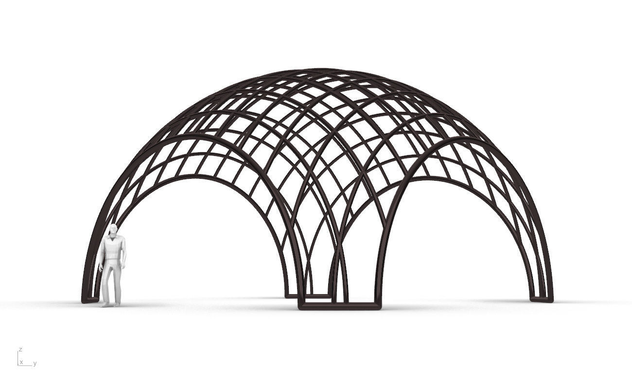Architectural Pavilion Structure Wireframe Dome With Entry V2 3D model_3