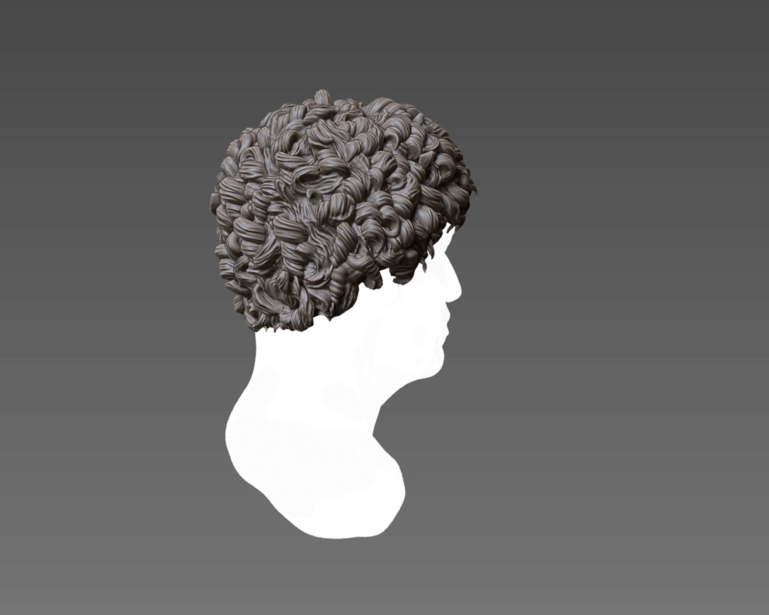Hairstyle 08 3D print model_4