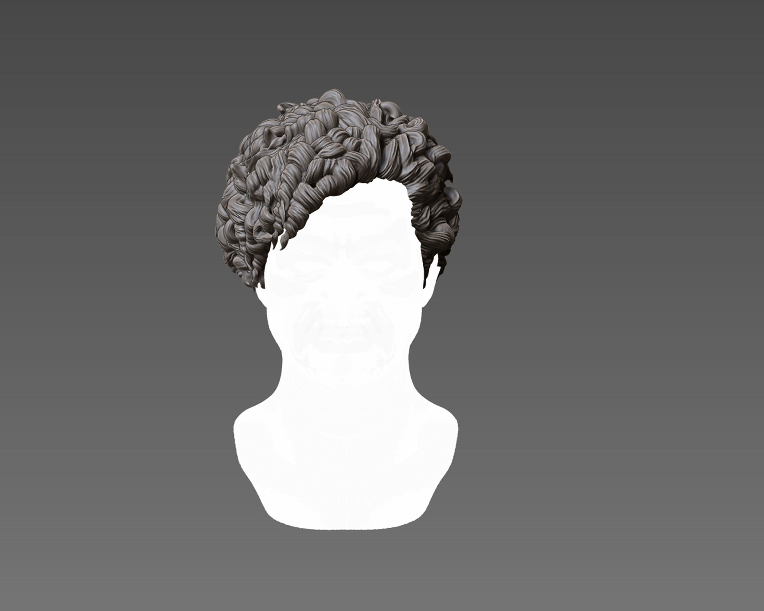 Hairstyle 08 3D print model_2