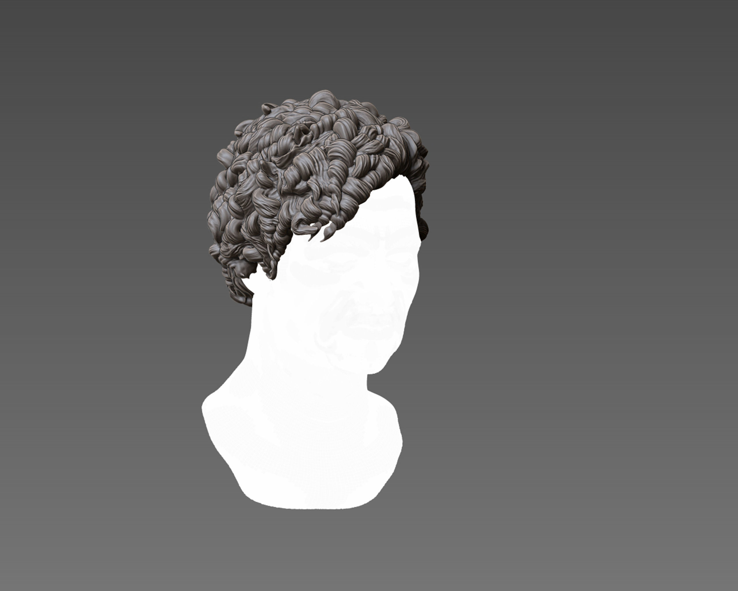 Hairstyle 08 3D print model_3
