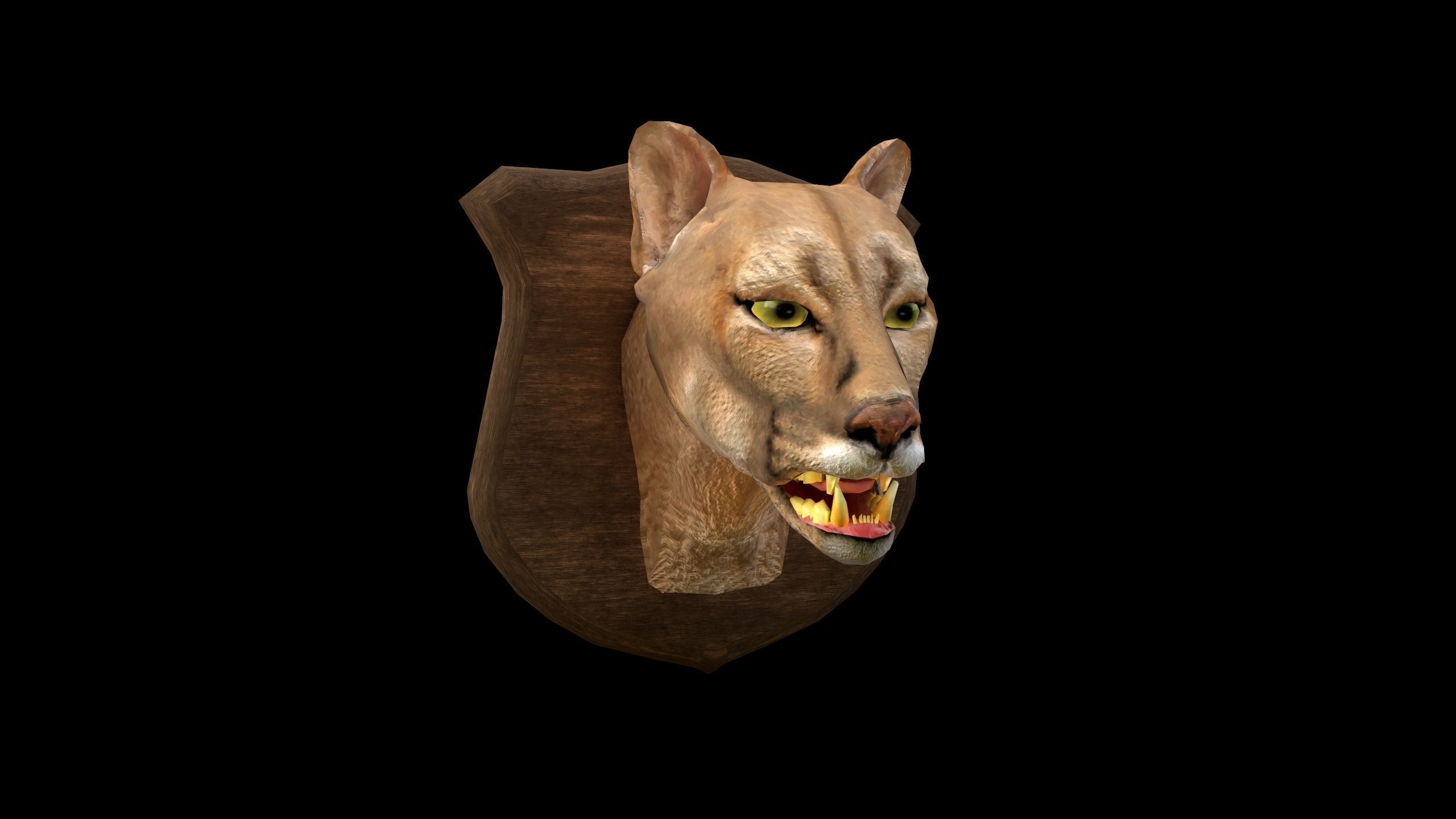 Cougar Head - PBR - Textured Low-poly 3D model_1